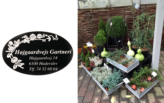 Deal.dk blomster, planter og krukker