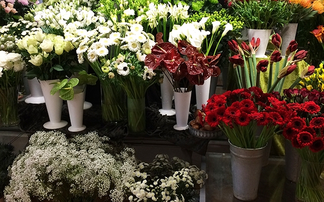 Deal.dk blomster, planter og krukker