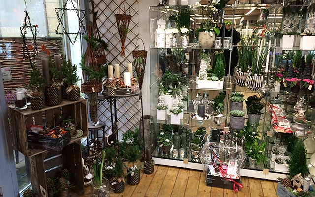 Deal.dk blomster, planter og krukker