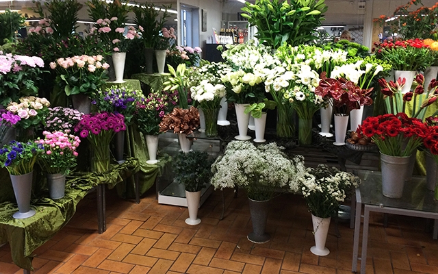 Deal.dk blomster, planter og krukker