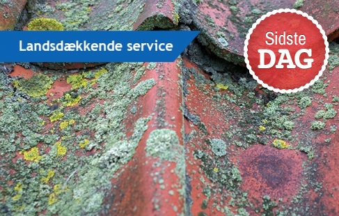 Effektiv algebehandling