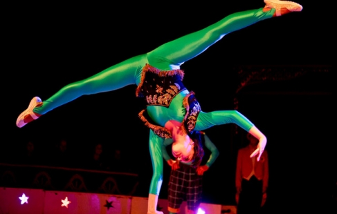 Cirkus for ALLE