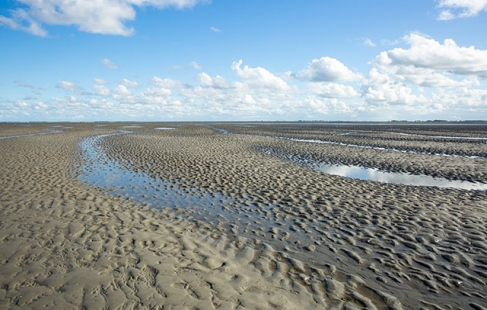 Nyd livet i St. Peter-Ording