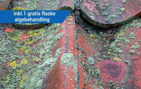 Effektiv algebehandling