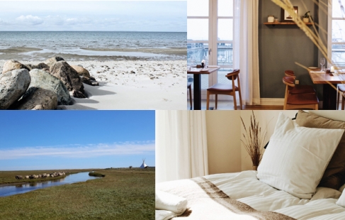Find roen på Læsø