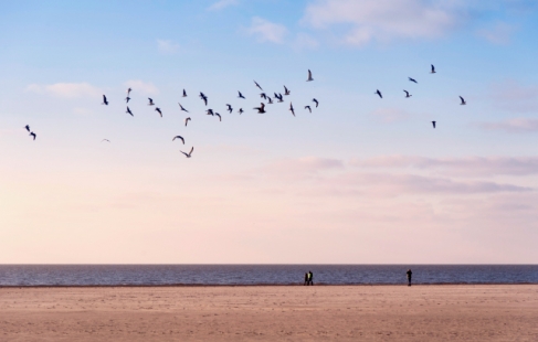 Oplev Sønderjylland