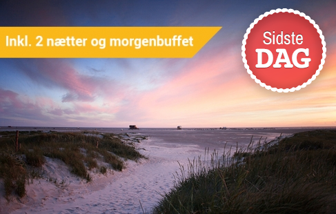 Livsglæde ved Vadehavet