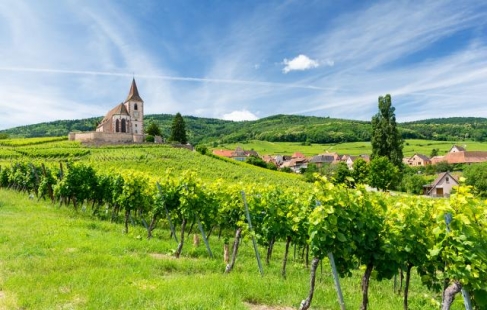 Oplev smukke Alsace