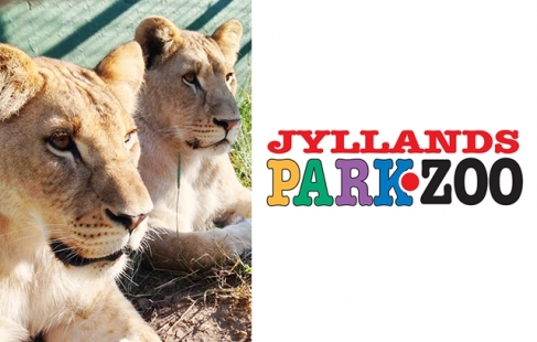 Sæsonkort: Jyllands Park Zoo