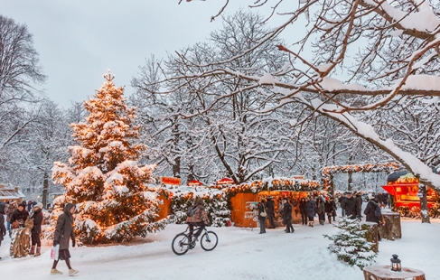 Julemarked & grænsehandel
