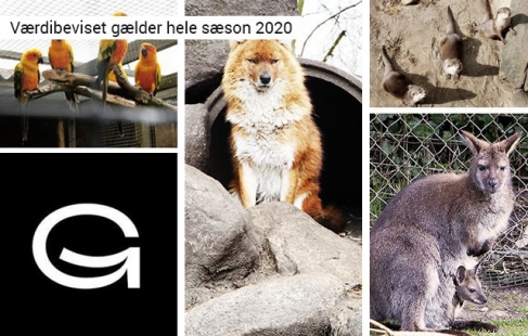 Familiehygge i zoo