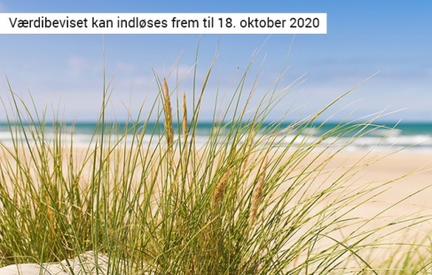 Lev livet i Løkken