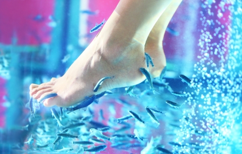 Forrygende fiskespa