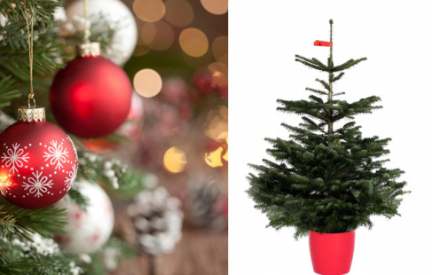Få juletræet til døren