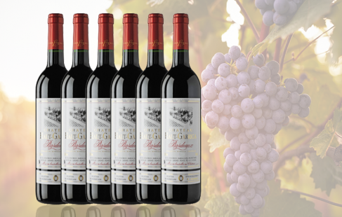 6 flasker Bordeaux Rouge