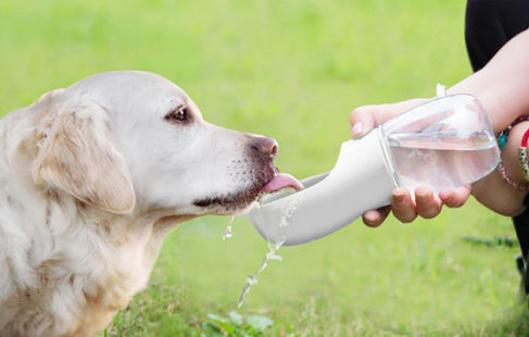 Vandflaske til hunde