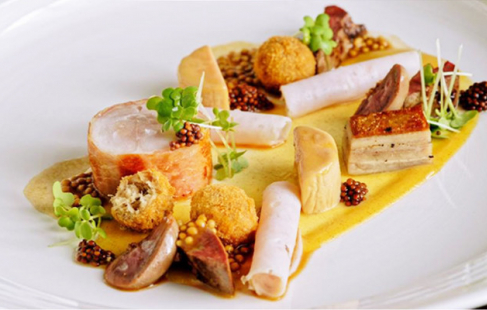 Gourmetophold for livsnydere