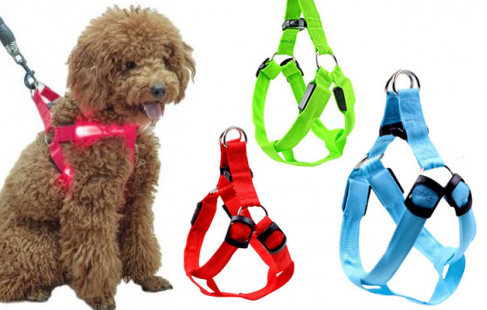 Smart hundesele med LED-lys