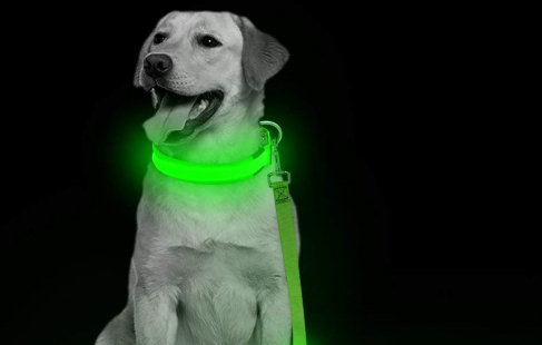 Hundesnor med LED-lys