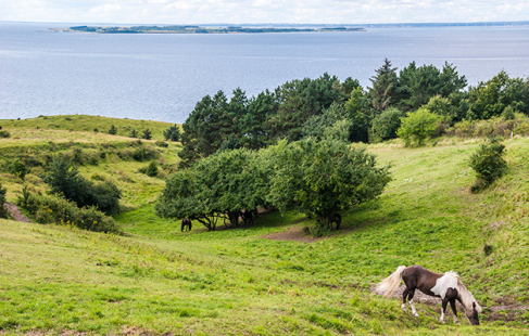 Miniferie på Samsø
